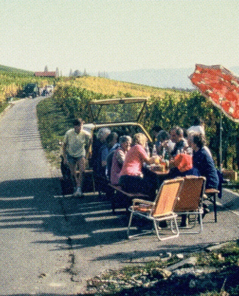 Winzer bei der Weinlese im Versuchsweinberg